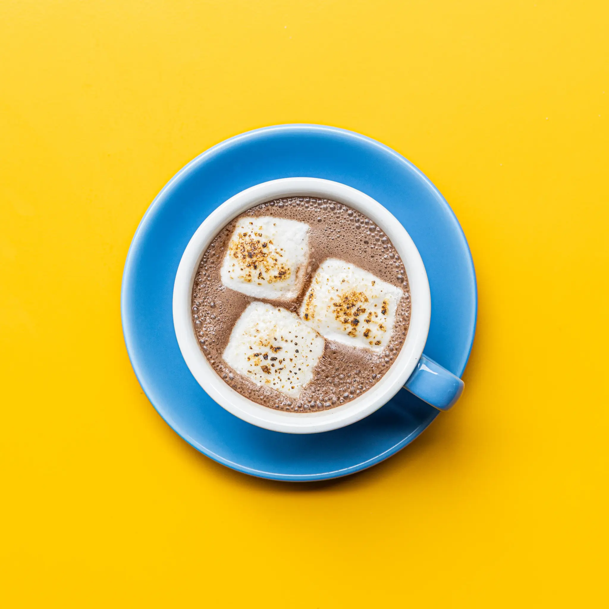 Signature Dark Chocolate